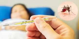 ਪੰਜਾਬ ‘ਚ ਡੇਂਗੂ ਦਾ ਵਧਣ ਲੱਗਾ ਪ੍ਰਕੋਪ : ਪਟਿਆਲਾ ‘ਚ 26 ਤੇ ਲੁਧਿਆਣਾ ‘ਚ 63 ਮਰੀਜ਼, ਮਲੇਰੀਆ ਤੇ ਸਵਾਈਨ ਫਲੂ ਨੇ ਵੀ ਪਸਾਰੇ ਪੈਰ