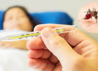 ਪੰਜਾਬ ‘ਚ ਡੇਂਗੂ ਦਾ ਵਧਣ ਲੱਗਾ ਪ੍ਰਕੋਪ : ਪਟਿਆਲਾ ‘ਚ 26 ਤੇ ਲੁਧਿਆਣਾ ‘ਚ 63 ਮਰੀਜ਼, ਮਲੇਰੀਆ ਤੇ ਸਵਾਈਨ ਫਲੂ ਨੇ ਵੀ ਪਸਾਰੇ ਪੈਰ