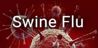 ਲੁਧਿਆਣਾ ‘ਚ ਸਵਾਈਨ ਫਲੂ ਦੇ 21 ਪਾਜ਼ੀਟਿਵ ਕੇਸ ਆਏ ਸਾਹਮਣੇ, ਸਿਹਤ ਵਿਭਾਗ ਆਇਆ ਹਰਕਤ ‘ਚ