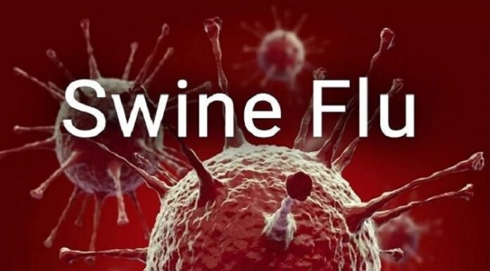ਲੁਧਿਆਣਾ ‘ਚ ਸਵਾਈਨ ਫਲੂ ਦੇ 21 ਪਾਜ਼ੀਟਿਵ ਕੇਸ ਆਏ ਸਾਹਮਣੇ, ਸਿਹਤ ਵਿਭਾਗ ਆਇਆ ਹਰਕਤ ‘ਚ