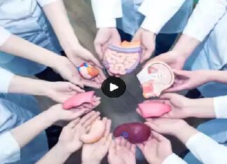 ਭਾਰਤ ‘ਚ ਅੰਗ ਦਾਨ 10 ਸਾਲਾਂ ‘ਚ 4 ਗੁਣਾ ਵਧਿਆ, ਔਰਤਾਂ ਅੰਗ ਦਾਨ ਕਰਨ ‘ਚ ਮਰਦਾਂ ਨਾਲੋਂ ਅੱਗੇ