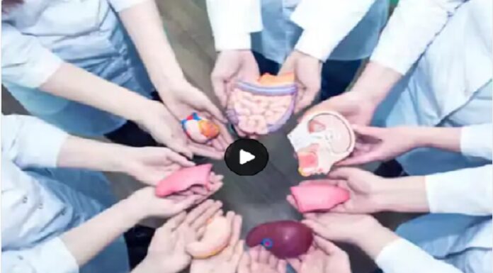 ਭਾਰਤ ‘ਚ ਅੰਗ ਦਾਨ 10 ਸਾਲਾਂ ‘ਚ 4 ਗੁਣਾ ਵਧਿਆ, ਔਰਤਾਂ ਅੰਗ ਦਾਨ ਕਰਨ ‘ਚ ਮਰਦਾਂ ਨਾਲੋਂ ਅੱਗੇ