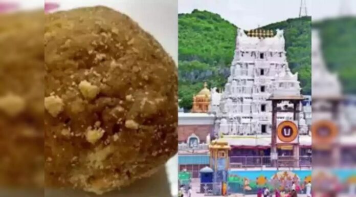 ਤਿਰੂਪਤੀ : ‘ਲੱਡੂ ਪ੍ਰਸਾਦਮ ਦੀ ਪਵਿੱਤਰਤਾ ਬਹਾਲ ਕਰ ਦਿੱਤੀ ਗਈ ਹੈ’, ਤਿਰੂਪਤੀ ਮੰਦਰ ਪ੍ਰਸ਼ਾਸਨ ਨੇ ਜਾਰੀ ਕੀਤਾ ਬਿਆਨ