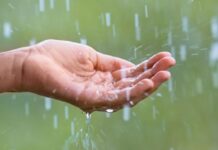 Punjab Weather: ਪੰਜਾਬ ‘ਚ ਅੱਜ ਮੁੜ ਸਰਗਰਮ ਹੋਇਆ ਮਾਨਸੂਨ: ਚੰਡੀਗੜ੍ਹ ਤੇ ਮੋਹਾਲੀ ‘ਚ ਪਿਆ ਭਾਰੀ ਮੀਂਹ