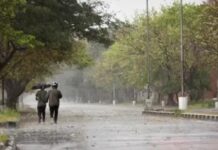 Punjab Weather Update : ਸੂਬੇ ਦੇ 5 ਜ਼ਿਲ੍ਹਿਆ ਲਈ ਅਲਰਟ ਕੀਤਾ ਜਾਰੀ