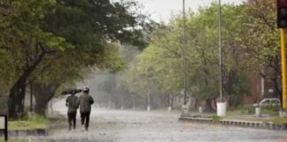 Punjab Weather Update : ਸੂਬੇ ਦੇ 5 ਜ਼ਿਲ੍ਹਿਆ ਲਈ ਅਲਰਟ ਕੀਤਾ ਜਾਰੀ