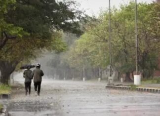 Punjab Weather Update : ਸੂਬੇ ਦੇ 5 ਜ਼ਿਲ੍ਹਿਆ ਲਈ ਅਲਰਟ ਕੀਤਾ ਜਾਰੀ