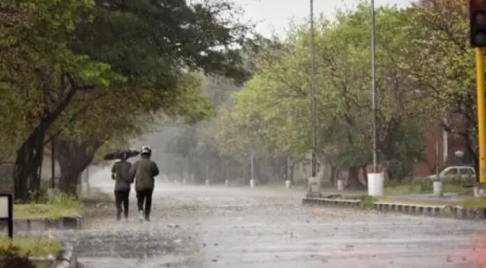 Punjab Weather Update : ਸੂਬੇ ਦੇ 5 ਜ਼ਿਲ੍ਹਿਆ ਲਈ ਅਲਰਟ ਕੀਤਾ ਜਾਰੀ