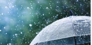 Weather News: ਪੰਜਾਬ ‘ਚ ਕਈ ਥਾਵਾਂ ‘ਤੇ ਸਵੇਰ ਤੋਂ ਹੀ ਪੈ ਰਿਹਾ ਮੀਂਹ, ਹੋਰ 7 ਜ਼ਿਲ੍ਹਿਆਂ ਵਿਚ ਵੀ ਬਾਰਿਸ਼ ਹੋਣ ਦੀ ਸੰਭਾਵਨਾ