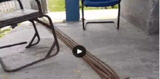 ਬਠਿੰਡਾ ‘ਚ ਰੇਲਗੱਡੀ ਨੂੰ ਪੱਟੜੀ ਤੋਂ ਉਤਾਰਨ ਦੀ ਸਾਜਿਸ਼ ! ਰੇਲਵੇ ਟਰੈਕ ‘ਤੇ ਰੱਖੇ ਲੋਹੇ ਦੀਆਂ ਰਾਡਾਂ ਦੇ ਬੰਡਲ, ਵੱਡਾ ਹਾਦਸਾ ਹੋਣੋਂ ਟਲਿਆ