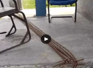 ਬਠਿੰਡਾ ‘ਚ ਰੇਲਗੱਡੀ ਨੂੰ ਪੱਟੜੀ ਤੋਂ ਉਤਾਰਨ ਦੀ ਸਾਜਿਸ਼ ! ਰੇਲਵੇ ਟਰੈਕ ‘ਤੇ ਰੱਖੇ ਲੋਹੇ ਦੀਆਂ ਰਾਡਾਂ ਦੇ ਬੰਡਲ, ਵੱਡਾ ਹਾਦਸਾ ਹੋਣੋਂ ਟਲਿਆ