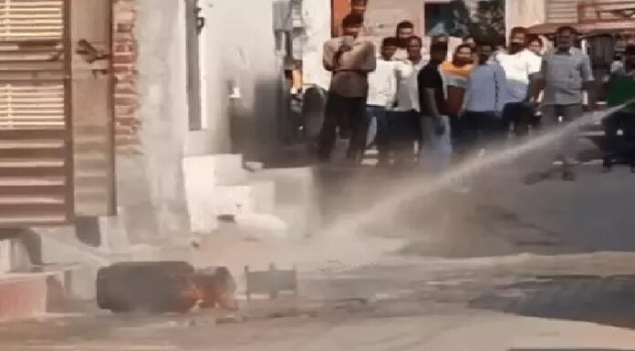 ਲੁਧਿਆਣਾ : ਘਰ ‘ਚ ਗੈਸ ਸਿਲੰਡਰ ਫਟਣ ਨਾਲ ਹੋਇਆ ਧਮਾਕਾ, ਲੱਖਾਂ ਦਾ ਸਾਮਾਨ ਸੜ ਕੇ ਸੁਆਹ