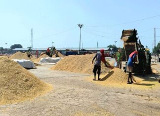 ਪੰਜਾਬ ਸਰਕਾਰ ਦੀ ਮੰਡੀਆਂ ‘ਚ ਕੰਮ ਕਰਦੇ ਮਜ਼ਦੂਰਾਂ ਨੂੰ ਵੱਡੀ ਰਾਹਤ, ਲੇਬਰ ਚਾਰਜਿਜ਼ ‘ਚ ਕੀਤਾ ਵਾਧਾ