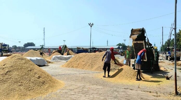 ਪੰਜਾਬ ਸਰਕਾਰ ਦੀ ਮੰਡੀਆਂ ‘ਚ ਕੰਮ ਕਰਦੇ ਮਜ਼ਦੂਰਾਂ ਨੂੰ ਵੱਡੀ ਰਾਹਤ, ਲੇਬਰ ਚਾਰਜਿਜ਼ ‘ਚ ਕੀਤਾ ਵਾਧਾ