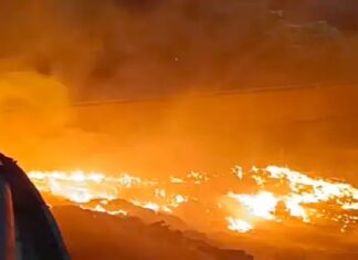 ਜਲੰਧਰ ‘ਚ ਕੂੜੇ ਦੇ ਢੇਰ ਨੂੰ ਲੱਗੀ ਅੱਗ, ਜ਼ਹਿਰੀਲੇ ਧੂੰਏਂ ਕਾਰਨ ਲੋਕਾਂ ਦਾ ਸਾਹ ਲੈਣਾ ਹੋਇਆ ਔਖਾ