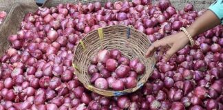 ਲੋਕਾਂ ਲਈ ਰਾਹਤ ਭਰੀ ਖਬਰ ! ਪੰਜਾਬ ਦੀ ਇਸ ਮੰਡੀ ‘ਚ 35 ਰੁਪਏ ਕਿਲੋ ਮਿਲੇਗਾ ਪਿਆਜ਼