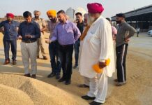 ਡਿਪਟੀ ਕਮਿਸ਼ਨਰ ਨੇ ਕਰਤਾਰਪੁਰ ਖਰੀਦ ਕੇਂਦਰ ਦਾ ਲਿਆ ਜਾਇਜ਼ਾ, ਕਿਹਾ – ਕਿਸਾਨਾਂ ਨੂੰ ਨਹੀਂ ਆਉਣ ਦਿੱਤੀ ਜਾਵੇਗੀ ਕੋਈ ਪ੍ਰੇਸ਼ਾਨੀ