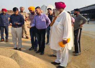 ਡਿਪਟੀ ਕਮਿਸ਼ਨਰ ਨੇ ਕਰਤਾਰਪੁਰ ਖਰੀਦ ਕੇਂਦਰ ਦਾ ਲਿਆ ਜਾਇਜ਼ਾ, ਕਿਹਾ – ਕਿਸਾਨਾਂ ਨੂੰ ਨਹੀਂ ਆਉਣ ਦਿੱਤੀ ਜਾਵੇਗੀ ਕੋਈ ਪ੍ਰੇਸ਼ਾਨੀ