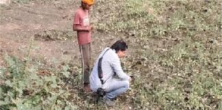 ਤਰਨਤਾਰਨ ਦੇ ਸਕੂਲ ‘ਚ ਵੜਿਆ ਚੀਤਾ, ਗੁਰਦੁਆਰੇ ਤੋਂ ਹੋ ਰਹੀ ਅਨਾਊਂਸਮੈਂਟ, ਲੋਕਾਂ ‘ਚ ਡਰ ਦਾ ਮਾਹੌਲ