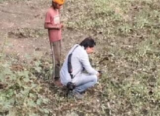 ਤਰਨਤਾਰਨ ਦੇ ਸਕੂਲ ‘ਚ ਵੜਿਆ ਚੀਤਾ, ਗੁਰਦੁਆਰੇ ਤੋਂ ਹੋ ਰਹੀ ਅਨਾਊਂਸਮੈਂਟ, ਲੋਕਾਂ ‘ਚ ਡਰ ਦਾ ਮਾਹੌਲ