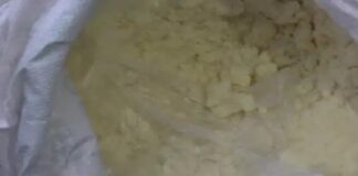 ਸਿਹਤ ਵਿਭਾਗ ਦੀ ਵੱਡੀ ਕਾਰਵਾਈ ! ਬੀਕਾਨੇਰ ਤੋਂ ਬੱਸ ਰਾਹੀਂ ਪੰਜਾਬ ਆਇਆ ਫੜਿਆ 10 ਕੁਇੰਟਲ ਸਿੰਥੈਟਿਕ ਖੋਆ