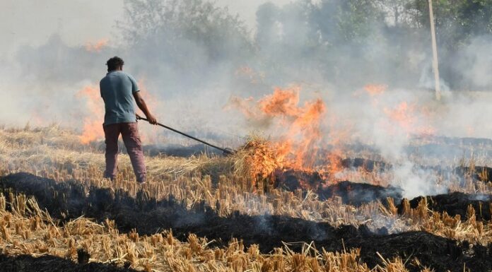 ਕਿਸਾਨਾਂ ਲਈ ਚਿੰਤਾ ਭਰੀ ਖਬਰ ! ਕੇਂਦਰ ਸਰਕਾਰ ਨੇ ਪਰਾਲੀ ਸਾੜਨ ‘ਤੇ ਜੁਰਮਾਨਾ ਕੀਤਾ ਦੁੱਗਣਾ