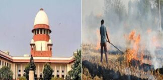 ਸੁਪਰੀਮ ਕੋਰਟ ਨੇ ਪਰਾਲੀ ਸਾੜਨ ਦੇ ਮਾਮਲੇ ‘ਚ ਪੰਜਾਬ ਸਰਕਾਰ ਨੂੰ ਲਾਈ ਫਟਕਾਰ, ਕਾਰਵਾਈ ਨਾ ਕਰਨ ‘ਤੇ ਦਿੱਤੀ ਇਹ ਚਿਤਾਵਨੀ