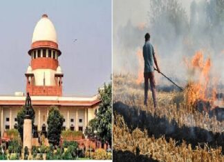 ਸੁਪਰੀਮ ਕੋਰਟ ਨੇ ਪਰਾਲੀ ਸਾੜਨ ਦੇ ਮਾਮਲੇ ‘ਚ ਪੰਜਾਬ ਸਰਕਾਰ ਨੂੰ ਲਾਈ ਫਟਕਾਰ, ਕਾਰਵਾਈ ਨਾ ਕਰਨ ‘ਤੇ ਦਿੱਤੀ ਇਹ ਚਿਤਾਵਨੀ