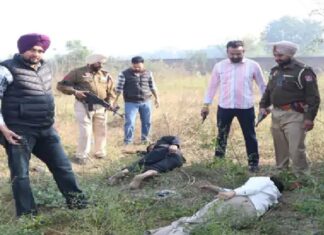 ਬ੍ਰੇਕਿੰਗ : ਜਲੰਧਰ ਪੁਲਿਸ ਤੇ ਲਾਰੈਂਸ ਗੈਂਗ ਦੇ ਗੁਰਗਿਆਂ ਵਿਚਾਲੇ ਮੁਕਾਬਲਾ, ਚਲੀਆਂ ਤਾੜ-ਤਾੜ ਗੋਲੀਆਂ