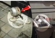 ਕੁੱਕਰ ‘ਚ ਸਾਗ ਬਣਾਉਣ ਵਾਲੇ ਸਾਵਧਾਨ ! ਭਾਫ ਜ਼ਿਆਦਾ ਹੋਣ ਕਾਰਨ ਜ਼ੋਰਦਾਰ ਧਮਾਕੇ ਨਾਲ ਫੱਟਿਆ ਕੁੱਕਰ, ਔਰਤ ਝੁਲਸੀ