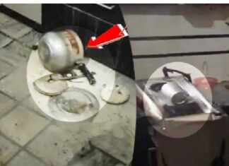 ਕੁੱਕਰ ‘ਚ ਸਾਗ ਬਣਾਉਣ ਵਾਲੇ ਸਾਵਧਾਨ ! ਭਾਫ ਜ਼ਿਆਦਾ ਹੋਣ ਕਾਰਨ ਜ਼ੋਰਦਾਰ ਧਮਾਕੇ ਨਾਲ ਫੱਟਿਆ ਕੁੱਕਰ, ਔਰਤ ਝੁਲਸੀ