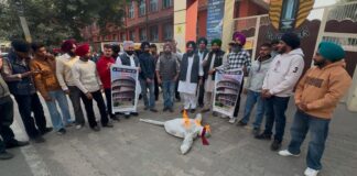 ਸੈਨੇਟ ਚੋਣਾ ਦੀ ਬਹਾਲੀ ਤੱਕ ਸੋਈ ਸੰਘਰਸ਼ ਜਾਰੀ ਰੱਖੇਗੀ-ਸੁਖਜਿੰਦਰ ਔਜਲਾ
