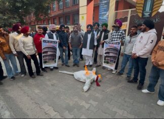 ਸੈਨੇਟ ਚੋਣਾ ਦੀ ਬਹਾਲੀ ਤੱਕ ਸੋਈ ਸੰਘਰਸ਼ ਜਾਰੀ ਰੱਖੇਗੀ-ਸੁਖਜਿੰਦਰ ਔਜਲਾ