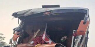 ਜਲੰਧਰ ‘ਚ ਸਵਾਰੀਆਂ ਨਾਲ ਭਰੀ ਬੱਸ ਨਾਲ ਵਾਪਰਿਆ ਭਿਆਨਕ ਹਾਦਸਾ; ਇਕ ਦੀ ਮੌਤ, ਡਰਾਈਵਰ ਜ਼ਖਮੀ