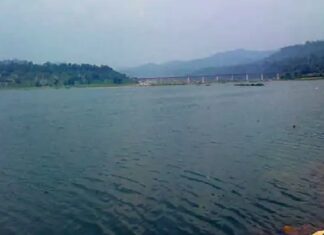 ਚਿੰਤਾਜਨਕ ਖਬਰ ! ਭਾਖੜਾ ਤੇ ਪੌਂਗ ਡੈਮਾਂ ‘ਚ ਪਾਣੀ ਦਾ ਪੱਧਰ ਡਿੱਗਿਆ, ਜਲ ਸੰਕਟ ਦਾ ਬਿਜਲੀ ਉਤਪਾਦਨ ਤੇ ਸਿੰਚਾਈ ‘ਤੇ ਪਵੇਗਾ ਅਸਰ