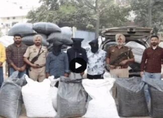 ਜਲੰਧਰ ਪੁਲਿਸ ਨੇ ਅੰਤਰਰਾਸ਼ਟਰੀ ਨਸ਼ਾ ਤਸਕਰੀ ਦੇ ਨੈੱਟਵਰਕ ਦਾ ਕੀਤਾ ਪਰਦਾਫਾਸ਼, 1400 ਕਿਲੋ ਚੂਰਾ ਪੋਸਟ ਸਣੇ 3 ਗ੍ਰਿਫਤਾਰ