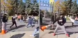 ਕੈਨੇਡਾ ਮੰਦਰ ਹਮਲਾ : ਹਿੰਦੂ ਸਭਾ ਨੇ ਆਪਣੇ ਪੁਜਾਰੀ ਨੂੰ ਕੀਤਾ ਮੁਅੱਤਲ, ਵਿਰੋਧ ਪ੍ਰਦਰਸ਼ਨ ‘ਚ ਸ਼ਮੂਲੀਅਤ ਦਾ ਜਤਾਇਆ ਸ਼ੱਕ