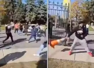 ਕੈਨੇਡਾ ਮੰਦਰ ਹਮਲਾ : ਹਿੰਦੂ ਸਭਾ ਨੇ ਆਪਣੇ ਪੁਜਾਰੀ ਨੂੰ ਕੀਤਾ ਮੁਅੱਤਲ, ਵਿਰੋਧ ਪ੍ਰਦਰਸ਼ਨ ‘ਚ ਸ਼ਮੂਲੀਅਤ ਦਾ ਜਤਾਇਆ ਸ਼ੱਕ