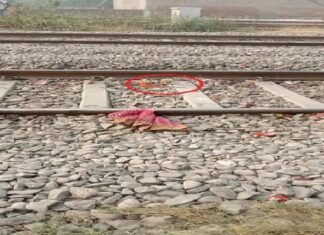 ਲੁਧਿਆਣਾ ‘ਚ ਮੰਦਰ ਦੀ ਬੇਅਦਬੀ, ਹਿੰਦੂ ਦੇਵੀ-ਦੇਵਤਿਆਂ ਦੀਆਂ ਤਸਵੀਰਾਂ ਰੇਲਵੇ ਟਰੈਕ ‘ਤੇ ਸੁੱਟੀਆਂ