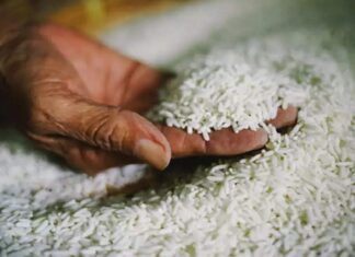 ਪੰਜਾਬ ਨੂੰ ਇਕ ਹੋਰ ਝਟਕਾ ! ਨਾਗਾਲੈਂਡ ਨੇ ਵੀ ਪੰਜਾਬ ਤੋਂ ਭੇਜੀ ਚੌਲਾਂ ਦੀ ਖੇਪ ਨੂੰ ਕੀਤਾ ਰੱਦ