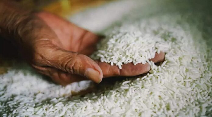 ਪੰਜਾਬ ਨੂੰ ਇਕ ਹੋਰ ਝਟਕਾ ! ਨਾਗਾਲੈਂਡ ਨੇ ਵੀ ਪੰਜਾਬ ਤੋਂ ਭੇਜੀ ਚੌਲਾਂ ਦੀ ਖੇਪ ਨੂੰ ਕੀਤਾ ਰੱਦ