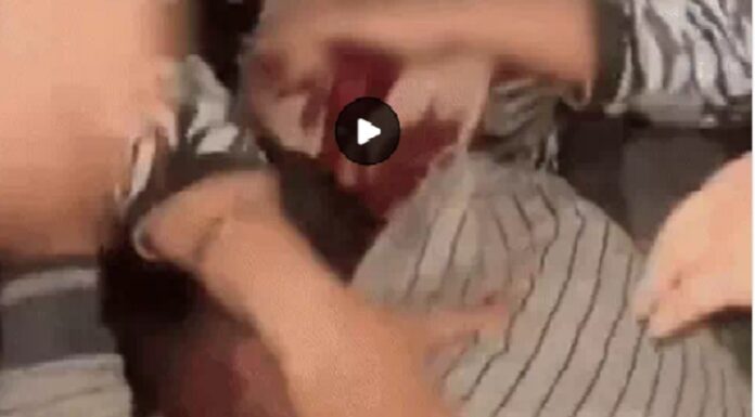 ਲੁਧਿਆਣਾ ‘ਚ ਦੁਕਾਨਦਾਰ ਦੀ ਸ਼ਰਮਨਾਕ ਕਰਤੂਤ ! 6 ਸਾਲ ਦੀ ਬੱਚੀ ਨਾਲ ਕੀਤੀਆਂ ਅਸ਼ਲੀਲ ਹਰਕਤਾਂ, ਪਰਿਵਾਰਕ ਮੈਂਬਰਾਂ ਨੇ ਫੜ ਚਾੜ੍ਹਿਆ ਕੁੱਟਾਪਾ