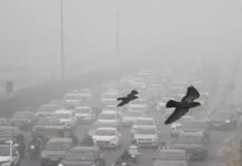 ਦਿੱਲੀ ‘ਚ ਪ੍ਰਦੂਸ਼ਣ ਕਾਰਨ ਹਵਾ ਹੋਈ ਜ਼ਹਿਰੀਲੀ, AQI 500 ਤੋਂ ਪਾਰ, ਸਾਰੇ ਸਕੂਲ-ਕਾਲਜ ਬੰਦ