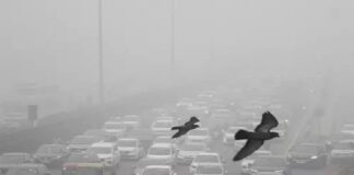 ਦਿੱਲੀ ‘ਚ ਪ੍ਰਦੂਸ਼ਣ ਕਾਰਨ ਹਵਾ ਹੋਈ ਜ਼ਹਿਰੀਲੀ, AQI 500 ਤੋਂ ਪਾਰ, ਸਾਰੇ ਸਕੂਲ-ਕਾਲਜ ਬੰਦ
