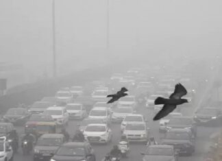 ਦਿੱਲੀ ‘ਚ ਪ੍ਰਦੂਸ਼ਣ ਕਾਰਨ ਹਵਾ ਹੋਈ ਜ਼ਹਿਰੀਲੀ, AQI 500 ਤੋਂ ਪਾਰ, ਸਾਰੇ ਸਕੂਲ-ਕਾਲਜ ਬੰਦ