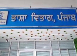 ਭਾਸ਼ਾ ਵਿਭਾਗ ਦਾ ਸਰਕਾਰੀ ਮਹਿਕਮਿਆਂ ਨੂੰ ਸਖਤ ਹੁਕਮ, ਪੰਜਾਬੀ ਭਾਸ਼ਾ ‘ਚ ਪ੍ਰਕਾਸ਼ਿਤ ਕੀਤੇ ਜਾਣ ਟੈਂਡਰ