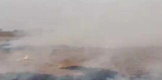 ਵੱਡੀ ਖਬਰ ! ਕੇਂਦਰ ਨੇ ਕਿਸਾਨਾਂ ਨੂੰ ਪਰਾਲੀ ਸਾੜਨ ਤੋਂ ਰੋਕਣ ਲਈ ਸਪੈਸ਼ਲ ਗ੍ਰਾਂਟ ਦੇਣ ਦੀ ਪੰਜਾਬ ਸਰਕਾਰ ਦੀ ਮੰਗ ਠੁਕਰਾਈ, ਦਿੱਤਾ ਇਹ ਤਰਕ