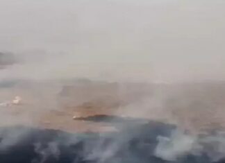 ਵੱਡੀ ਖਬਰ ! ਕੇਂਦਰ ਨੇ ਕਿਸਾਨਾਂ ਨੂੰ ਪਰਾਲੀ ਸਾੜਨ ਤੋਂ ਰੋਕਣ ਲਈ ਸਪੈਸ਼ਲ ਗ੍ਰਾਂਟ ਦੇਣ ਦੀ ਪੰਜਾਬ ਸਰਕਾਰ ਦੀ ਮੰਗ ਠੁਕਰਾਈ, ਦਿੱਤਾ ਇਹ ਤਰਕ