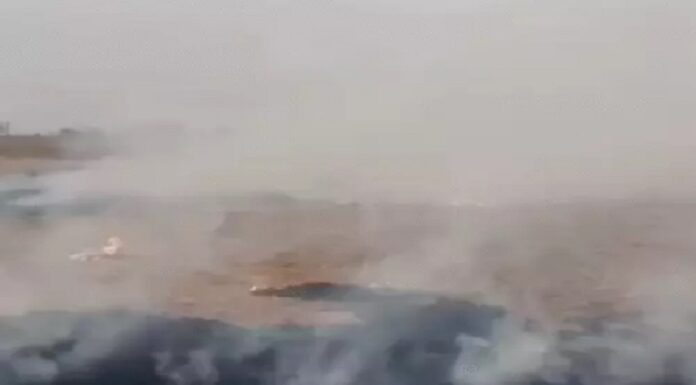 ਵੱਡੀ ਖਬਰ ! ਕੇਂਦਰ ਨੇ ਕਿਸਾਨਾਂ ਨੂੰ ਪਰਾਲੀ ਸਾੜਨ ਤੋਂ ਰੋਕਣ ਲਈ ਸਪੈਸ਼ਲ ਗ੍ਰਾਂਟ ਦੇਣ ਦੀ ਪੰਜਾਬ ਸਰਕਾਰ ਦੀ ਮੰਗ ਠੁਕਰਾਈ, ਦਿੱਤਾ ਇਹ ਤਰਕ