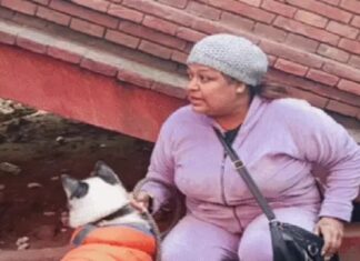 ਨਗਰ ਨਿਗਮ ਚੋਣਾਂ ਦੀ ਨਾਮਜ਼ਦਗੀ ਦੌਰਾਨ ਹੰਗਾਮਾ ! ਪਾਲਤੂ ਕੁੱਤੇ ਨੂੰ ਆਜ਼ਾਦ ਉਮੀਦਵਾਰ ਚੋਣ ਲੜਾਉਣ ਪਹੁੰਚੀ ਕਾਂਗਰਸੀ ਵਰਕਰ, ਟਿਕਟ ਨਾਲ ਮਿਲਣ ਕਾਰਨ ਪਾਰਟੀ ਤੋਂ ਨਾਰਾਜ਼